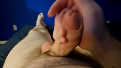 Snapshot of naked_slut86 chatting on December 2024 04:45:01 AM Naked slut online show from December 2024 04:45:01 AM