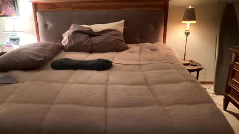 Masturbating boys need to be spanked. online show from April 2026 02:16:01 AM