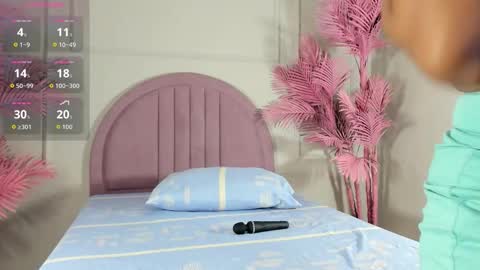 Snapshot of nalapalmer chatting on February 2026 07:54:02 PM nalapalmer online show from February 2026 07:54:02 PM