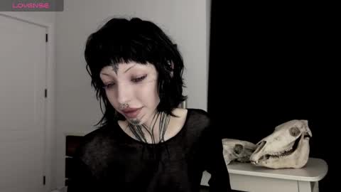 Nana online show from December 2024 04:09:02 PM