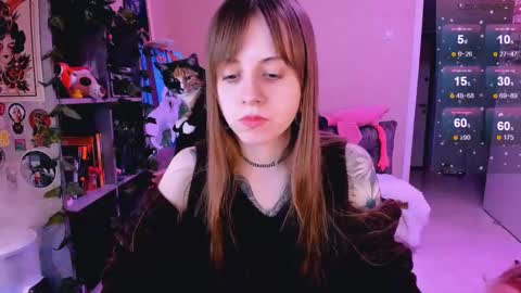 Monday-Friday 12-4 AM and 6-9 AM New York time online show from February 2025 11:52:01 PM