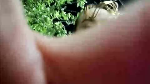 nanna_and_balder2 online show from April 2026 03:28:01 AM