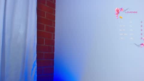 Snapshot of naomi_wong chatting on February 2025 12:08:02 AM Guys the page has lately failed. If you see me disconnected thats why. online show from February 2025 12:08:02 AM