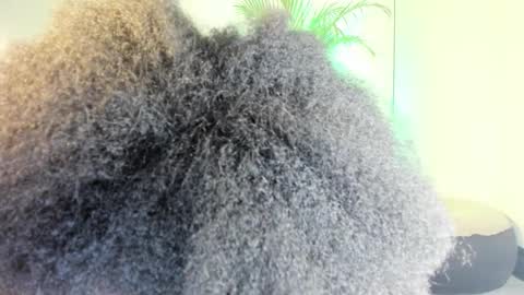 Naomii online show from November 2025 12:31:02 AM