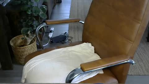 Snapshot of nareth338 chatting on October 2025 03:53:01 PM nareth338 online show from October 2025 03:53:01 PM