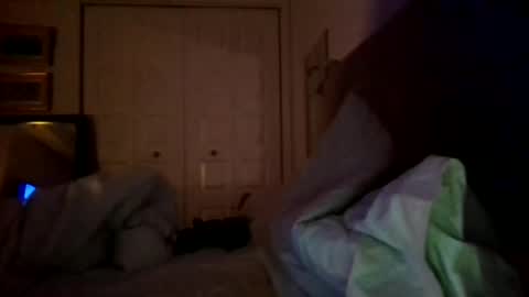 Snapshot of nassobout chatting on December 2024 07:40:01 AM nassobout online show from December 2024 07:40:01 AM