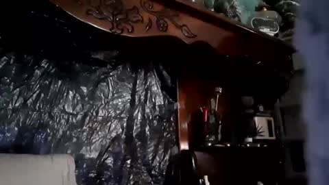 nastysubs69 online show from April 2026 02:56:01 PM