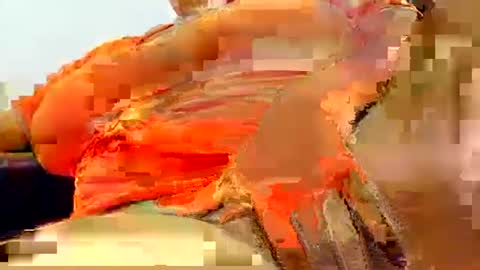 Snapshot of natasha_klaus1 chatting on October 2025 02:44:01 AM natasha_klaus1 online show from October 2025 02:44:01 AM