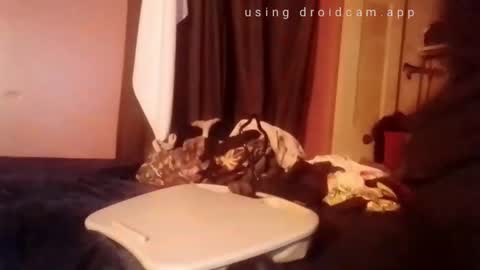 nathanbutler0 online show from November 2025 02:52:02 PM