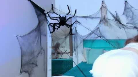 Meri online show from October 2025 06:39:02 AM