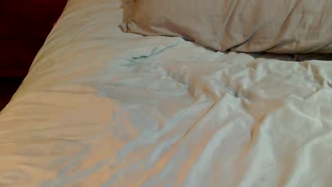 INDY online show from December 2024 03:10:01 PM