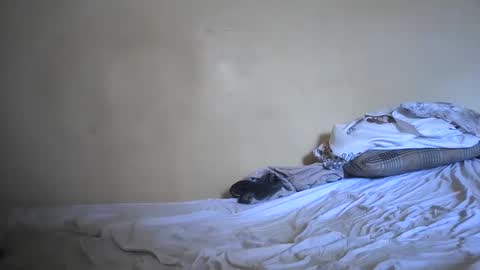 Snapshot of naughtyjessy34323 chatting on December 2025 10:09:02 AM Jessy online show from December 2025 10:09:02 AM