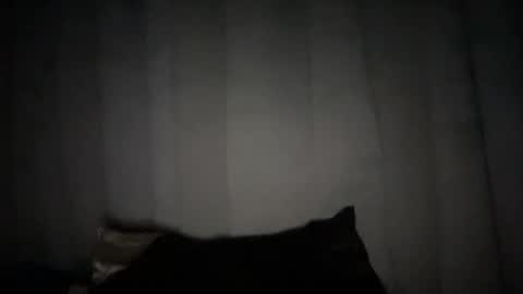 Rose Wilson online show from January 2025 10:24:02 AM