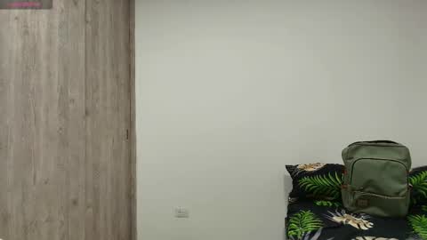 Snapshot of nayton_and_lex chatting on November 2025 03:50:01 PM Naytoon online show from November 2025 03:50:01 PM