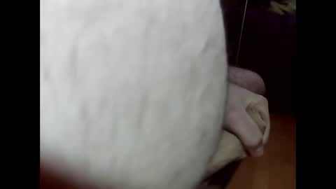 Snapshot of ncbncb chatting on March 2025 08:21:02 PM ncbncb online show from March 2025 08:21:02 PM