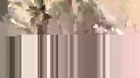 Snapshot of ndsckd chatting on September 2025 11:54:01 AM ndsckd online show from September 2025 11:54:01 AM