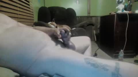 ned is naughty online show from March 2025 10:24:01 AM