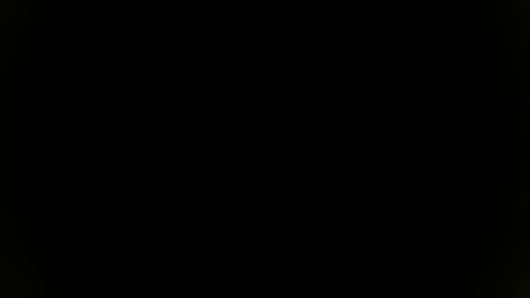 Snapshot of needfullthx chatting on November 2025 07:34:01 PM Sebastian online show from November 2025 07:34:01 PM