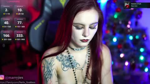 Snapshot of nelle_ chatting on December 2024 01:14:01 PM    online show from December 2024 01:14:01 PM