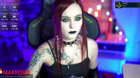 Snapshot of nelle_ chatting on January 2025 08:46:02 AM    online show from January 2025 08:46:02 AM