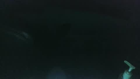 nelsonbucara online show from March 2025 10:00:02 AM