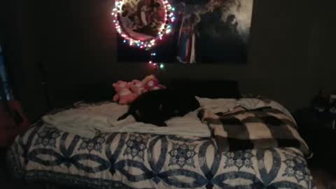 Snapshot of nettiedmonroe chatting on November 2025 05:34:02 PM Nettie D Monroe online show from November 2025 05:34:02 PM