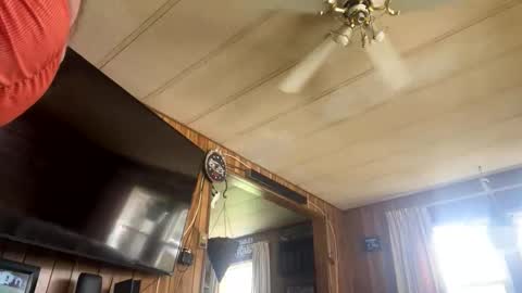 Snapshot of neversaynevrrr chatting on November 2025 05:37:01 PM neversaynevrrr online show from November 2025 05:37:01 PM