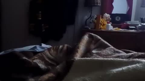 Matt online show from January 2026 10:31:01 AM