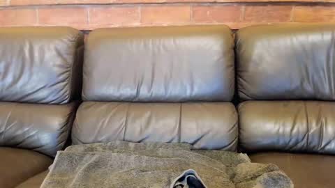 Snapshot of new_matilda chatting on December 2025 11:52:02 AM Matilda online show from December 2025 11:52:02 AM