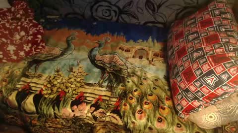 Lilly  online show from April 2026 02:50:02 AM