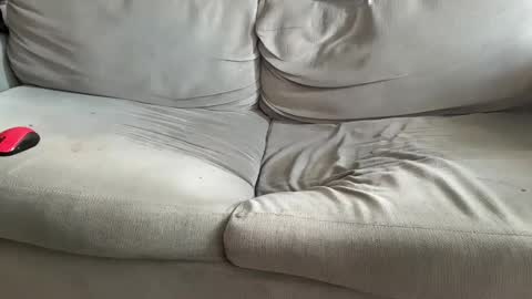 Snapshot of nhcam chatting on December 2024 11:51:02 AM NH online show from December 2024 11:51:02 AM