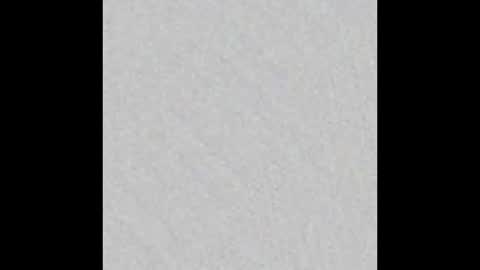 Robin online show from March 2026 09:17:01 AM