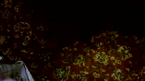 nicholaastavrou19 online show from April 2026 07:45:01 AM