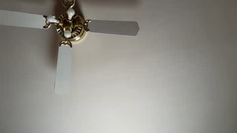 nicholasweber21 online show from June 2026 10:19:02 PM