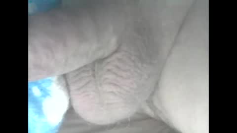 Snapshot of nickthefiddler chatting on September 2025 09:26:01 PM TheCock online show from September 2025 09:26:01 PM