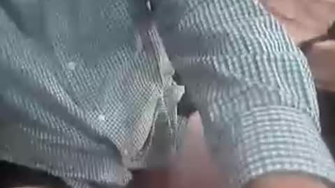 TheCock online show from August 2026 02:02:02 AM