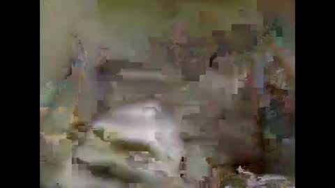 Snapshot of nickvtx chatting on January 2025 02:08:02 PM Nick online show from January 2025 02:08:02 PM