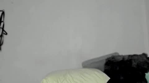 Snapshot of nico_nico_xd chatting on December 2024 06:21:01 AM Nico online show from December 2024 06:21:01 AM