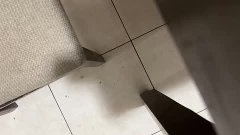 Snapshot of nicocar83pty chatting on March 2026 09:05:01 AM Carlos Nico online show from March 2026 09:05:01 AM