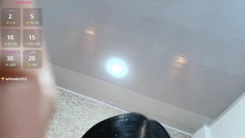 Nicol Alvarez online show from October 2025 09:04:02 PM