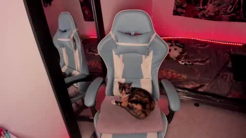 Snapshot of nicolepeachx chatting on January 2025 02:29:02 AM Nicol independent model online show from January 2025 02:29:02 AM