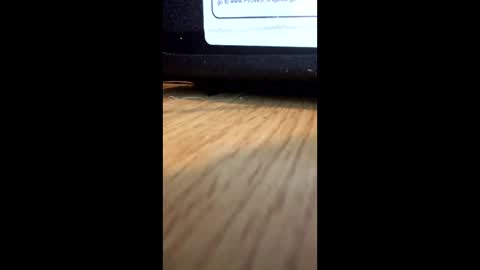 nightmoves1970 online show from December 2025 01:00:01 AM