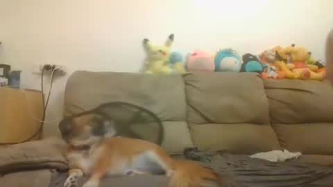 Snapshot of nikeair305 chatting on November 2025 03:33:02 PM Brian and Logan Brogan online show from November 2025 03:33:02 PM