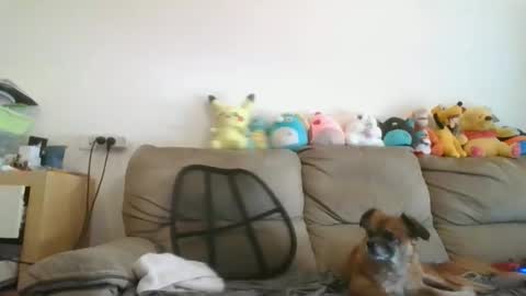 Snapshot of nikeair305 chatting on November 2025 07:52:02 AM Brian and Logan Brogan online show from November 2025 07:52:02 AM