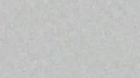 Nikki Ramone   online show from April 2026 11:38:01 AM