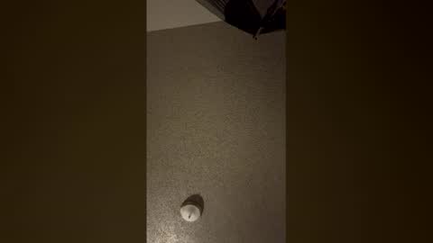 Snapshot of nikkitag93 chatting on December 2025 07:58:02 AM nikkitag93 online show from December 2025 07:58:02 AM