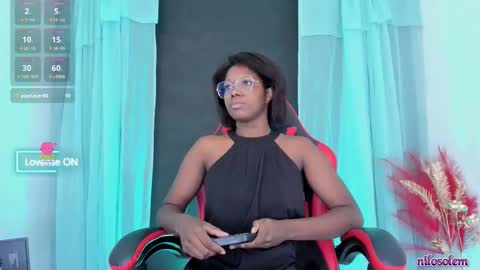 Snapshot of nilosolem12 chatting on November 2025 10:42:01 PM nilo solem online show from November 2025 10:42:01 PM