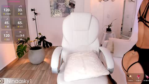 Snapshot of ninaa_sky chatting on December 2024 12:44:02 PM online show from December 2024 12:44:02 PM