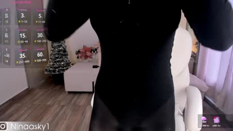 Snapshot of ninaa_sky chatting on December 2024 02:16:02 PM online show from December 2024 02:16:02 PM