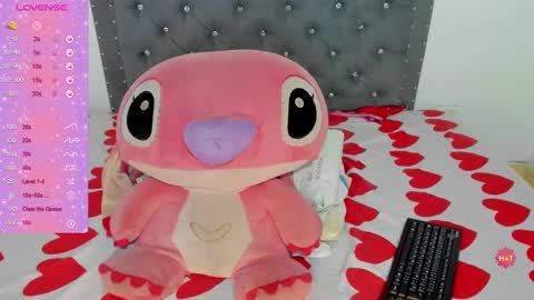 Snapshot of ninagrey03 chatting on January 2025 12:17:02 AM Valentina online show from January 2025 12:17:02 AM